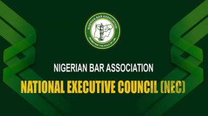 NBA Pre-Conference NEC Meeting in Enugu Addresses Governance, Human Rights, and Professional Standards