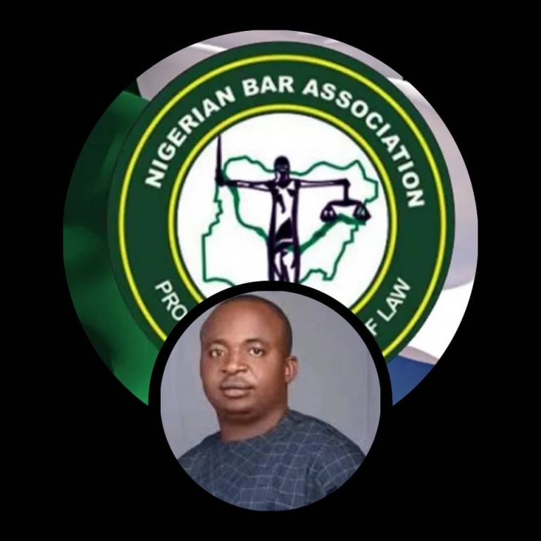 A Clarion Call to Justice: NBA-HRI Condemns Judicial Breakdown in the Murder of Princewill Ikenna